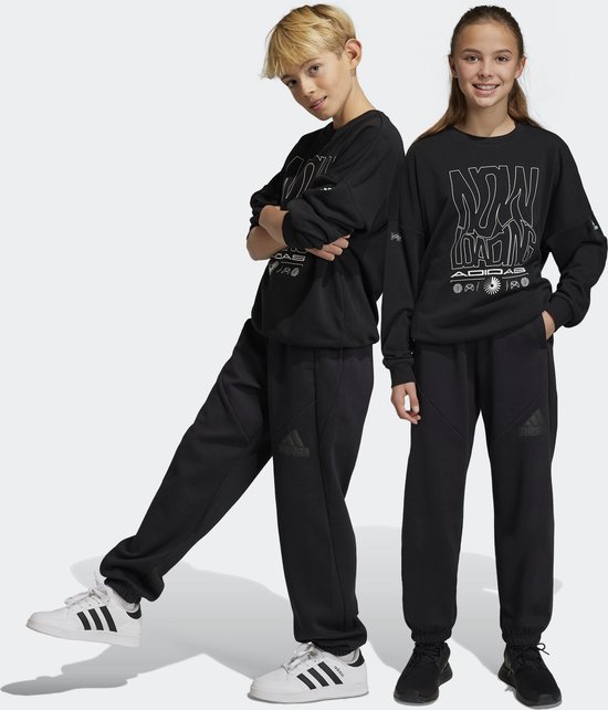 Adidas Sportswear Future Icons Logo Broek - Kinderen