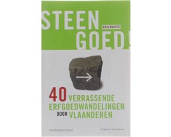Omslag van Steengoed !