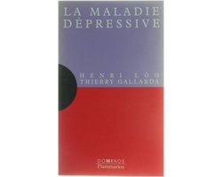 La maladie dépressive - Un exposé pour comprendre un essai pour réfléchir