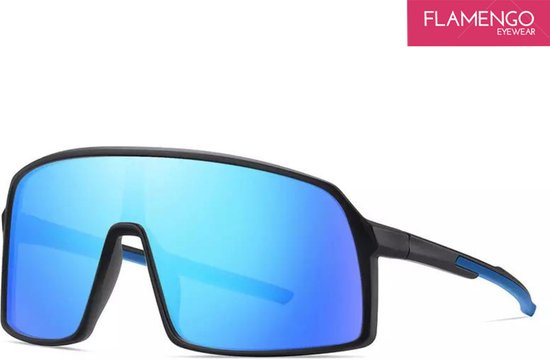 FLAMENGO Ski zonnebril – Wintersport Bril– Skibril – Zonnebril - Sport zonnebril – Sneeuw Zonnebril – Fietsbril – Sportbril - Oversized Zonnebril Dames - Heren – Stijlvol Design – UV400 - TR90 - Gepolariseerd – Zwart Blauw - incl. brillenzakje