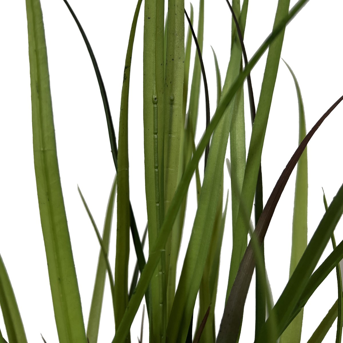 Kopu Kunstplant Grasplant 90 cm - in zwarte pot - Nepplant Groen