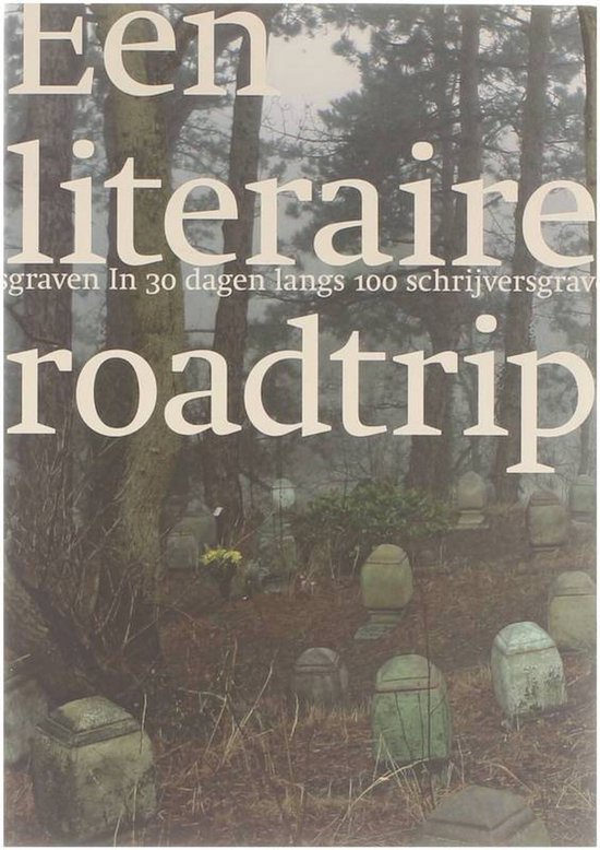 Cover van het boek 'Een literaire roadtrip' van A. Meinderts