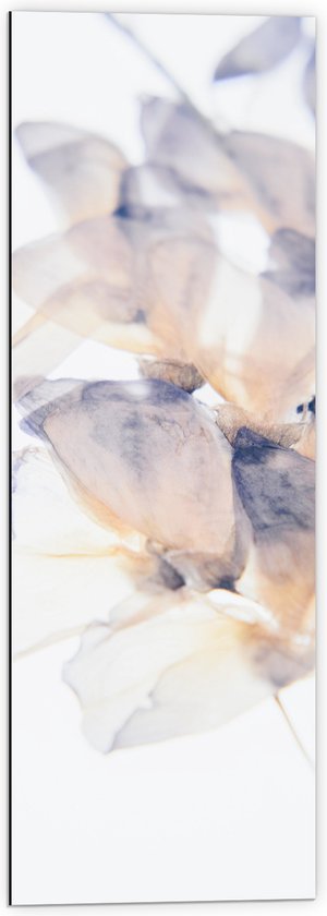 Dibond - Tekening van Paars met Oranje Bloemen tegen Witte Achtergrond - 40x120 cm Foto op Aluminium (Wanddecoratie van metaal)