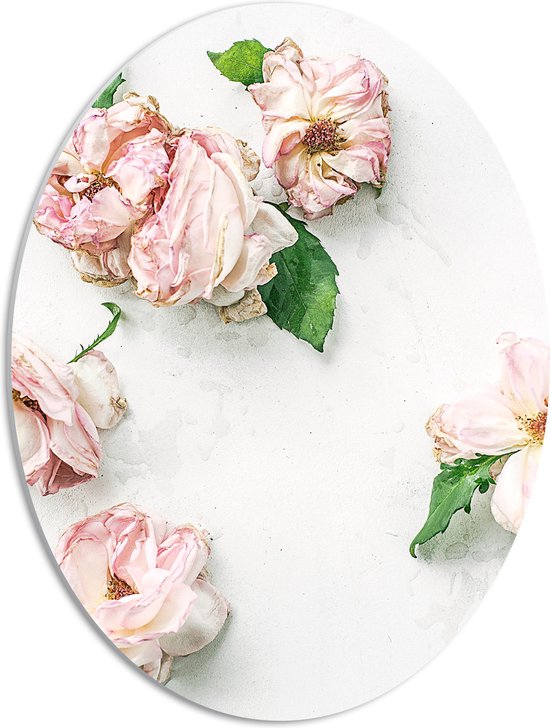 PVC Schuimplaat Ovaal - Schilderij van Gedroogde Wit met Roze Bloemen op Witte Achtergrond - 42x56 cm Foto op Ovaal (Met Ophangsysteem)