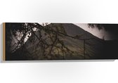 Hout - Takken voor Groene Berg - 90x30 cm - 9 mm dik - Foto op Hout (Met Ophangsysteem)