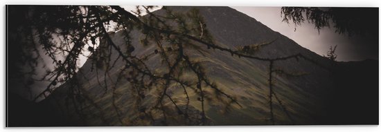 Dibond - Takken voor Groene Berg - 60x20 cm Foto op Aluminium (Wanddecoratie van metaal)