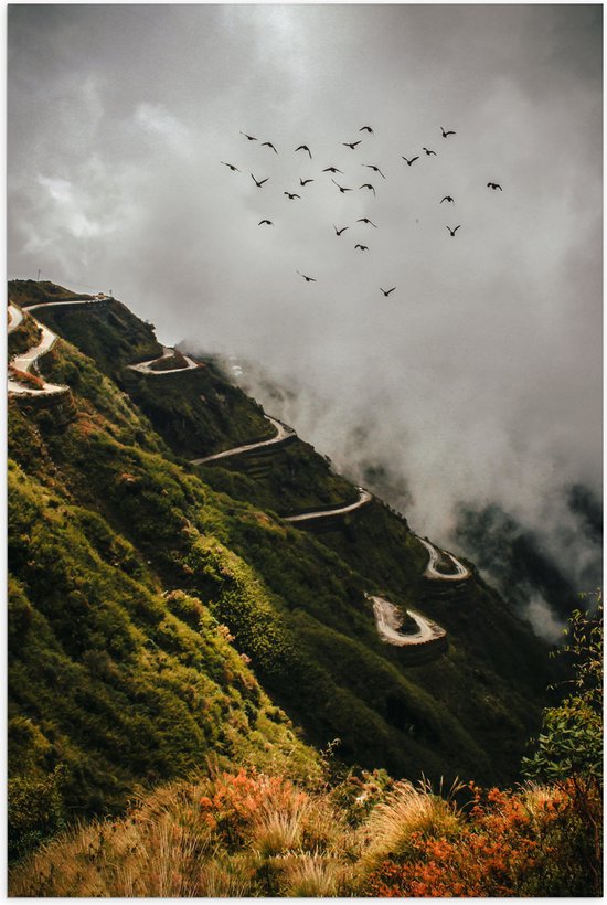 Poster (Mat) - Vogels boven Kronkelpad op Berg - 60x90 cm Foto op Posterpapier met een Matte look