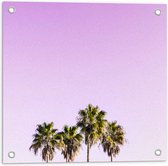 Tuinposter – Vier Hoge Smalle Palmbomen op Pastelroze Achtergrond - 50x50 cm Foto op Tuinposter (wanddecoratie voor buiten en binnen)