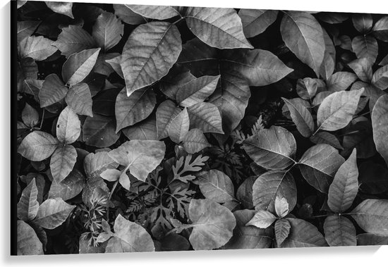 Canvas - Zwart-Wit Foto van Bladeren - 120x80 cm Foto op Canvas Schilderij (Wanddecoratie op Canvas)