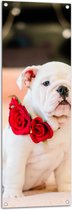 Tuinposter – Aandoenlijke Engelse Bulldog Puppy met Rozen - 40x120 cm Foto op Tuinposter (wanddecoratie voor buiten en binnen)