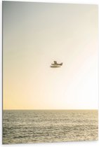 WallClassics - Dibond - Vliegtuig Vliegend boven Water met Boeien bij Lichtkleurige Lucht - 80x120 cm Foto op Aluminium (Met Ophangsysteem)