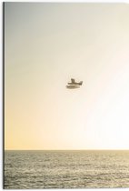 WallClassics - Dibond - Vliegtuig Vliegend boven Water met Boeien bij Lichtkleurige Lucht - 50x75 cm Foto op Aluminium (Met Ophangsysteem)