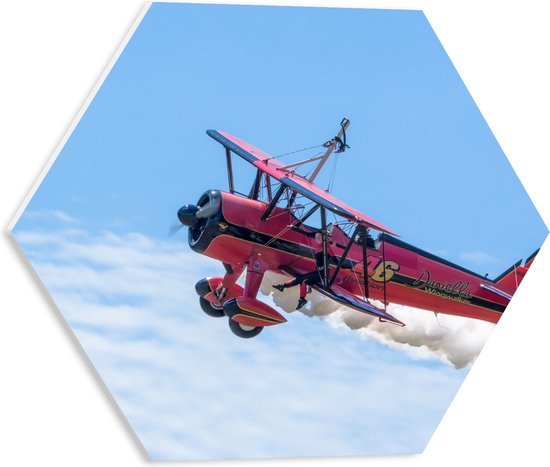 WallClassics - Feuille de mousse PVC Hexagone - Planeur rose avec personne sur l'aile - 40x34,8 cm Photo sur Hexagone (avec système de suspension)