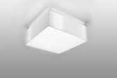 Sollux Lighting - Plafondspot HORUS wit