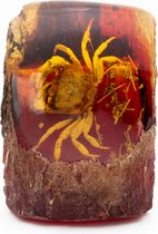 Fossiel Krab - Woondecoratie - Unieke Decoratie - Resin Amber