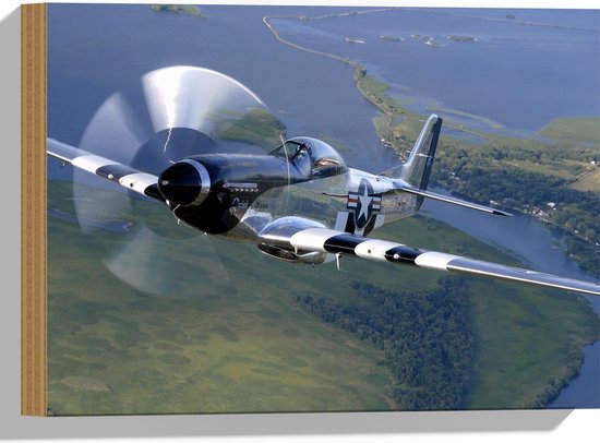 WallClassics - Hout - Vliegende grijze Vliegtuig boven Land - 40x30 cm - 9 mm dik - Foto op Hout (Met Ophangsysteem)