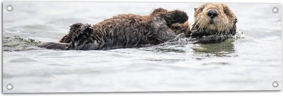 WallClassics - Tuinposter – Zwemmende Otters in het Water - 90x30 cm Foto op Tuinposter (wanddecoratie voor buiten en binnen)