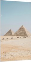 WallClassics - Tuinposter – Piramides in de Woestijn met Kamelen - 100x200 cm Foto op Tuinposter (wanddecoratie voor buiten en binnen)