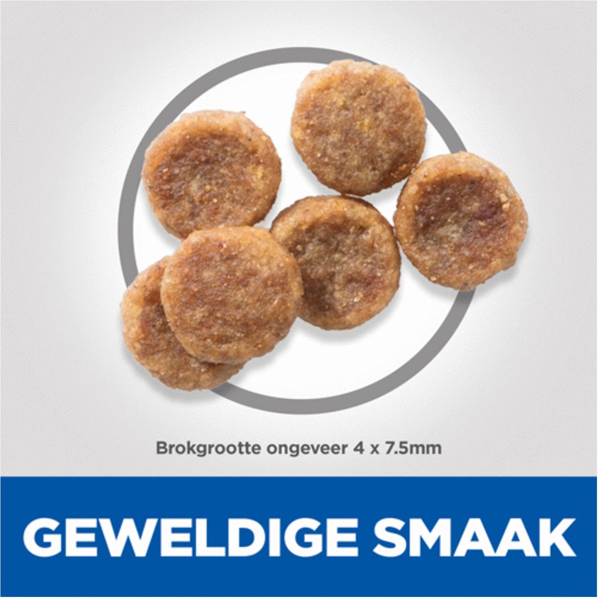Hill's Small & Mini Kip 6kg - Voer voor kleine honden thumbnail 3