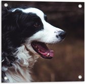 WallClassics - Tuinposter – Zwart Witte Hond met open Mond - 50x50 cm Foto op Tuinposter (wanddecoratie voor buiten en binnen)