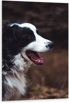 WallClassics - Panneau en mousse PVC - Chien Zwart et Witte avec gueule ouverte - Photo 80x120 cm sur panneau en mousse PVC (avec système de suspension)