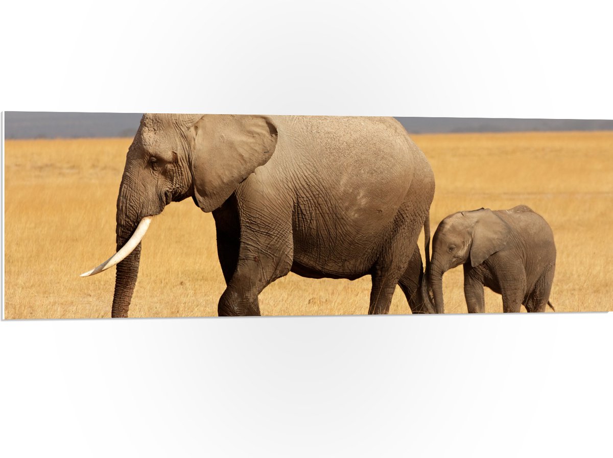 PVC Schuimplaat - Afrikaanse Olifant met Baby Olifantje - 120x40 cm Foto op PVC Schuimplaat (Met Ophangsysteem)