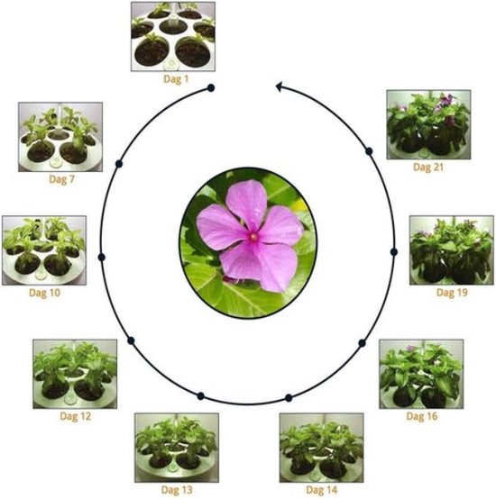 UrbanGreen IGrow Kweeksysteem 3 led Groen, Kweeklamp Moestuin