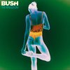 Bush - Kingdom (LP)