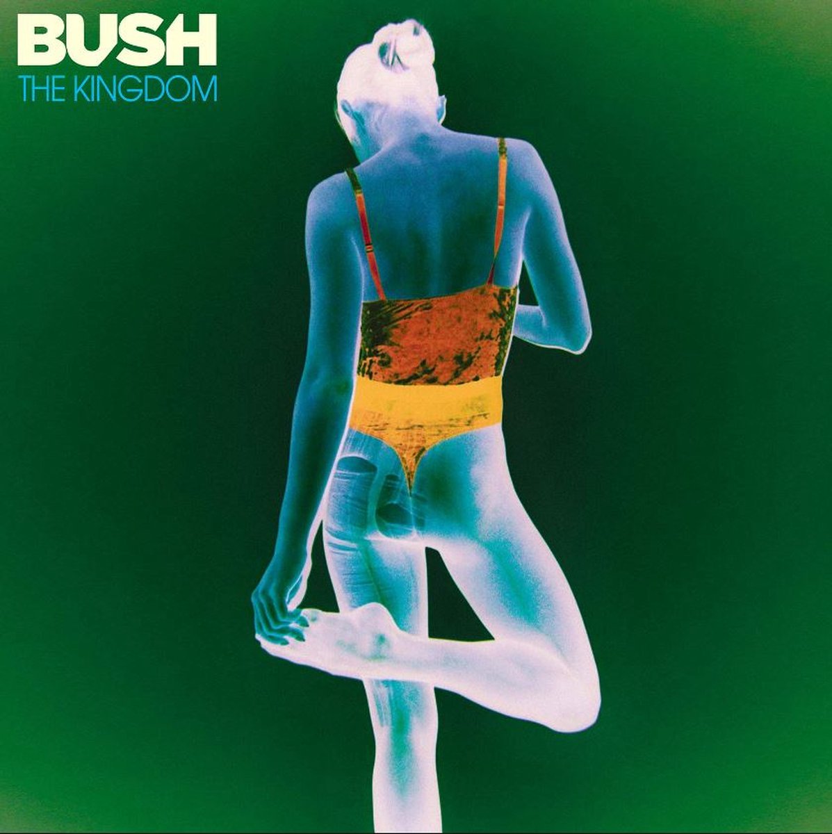 Bush - The Kingdom (LP)