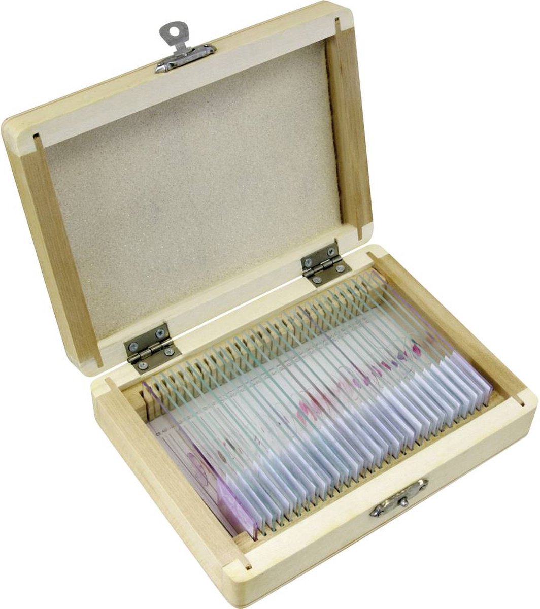 Biolux al bresser microscoop 20x-1280x - Kringwinkel