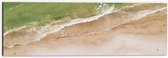 WallClassics - Dibond - Groenkleurige Zee aan het Strand - 60x20 cm Foto op Aluminium (Met Ophangsysteem)