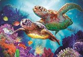 Denza - Diamond painting schildpad oceaan 40 x 50 cm volledige bedrukking ronde steentjes direct leverbaar - zee - schildpadden - vissen