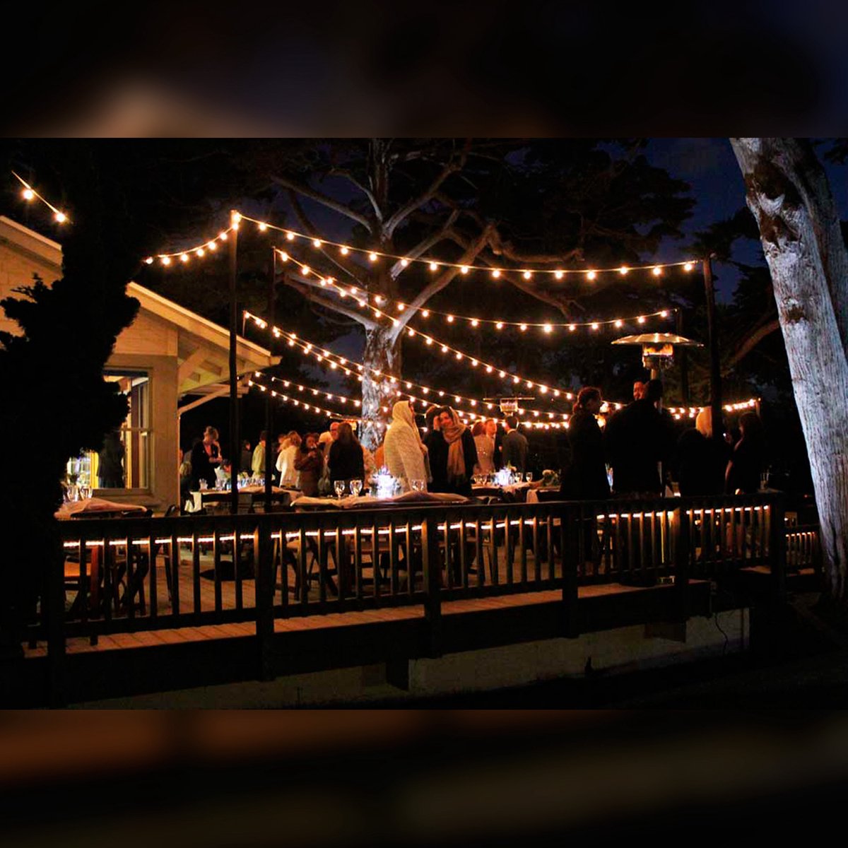 KS Verlichting - Lichtsnoer - Patio - 60 meter - LED - helder - 2700K - glazen - lichtslinger - prikkabel