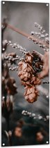 WallClassics - Tuinposter – Herfstig Beeld van Planten - 50x150 cm Foto op Tuinposter (wanddecoratie voor buiten en binnen)