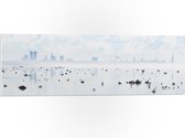 WallClassics - PVC Schuimplaat- Mist bij Skyline achter Meer met Vogels - 90x30 cm Foto op PVC Schuimplaat