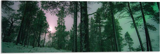 WallClassics - Acrylglas - Het Noorderlicht door Bomen heen in Noorwegen - 90x30 cm Foto op Acrylglas (Met Ophangsysteem)