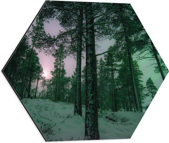 WallClassics - Dibond Hexagon - Het Noorderlicht door Bomen heen in Noorwegen - 50x43.5 cm Foto op Hexagon (Met Ophangsysteem)