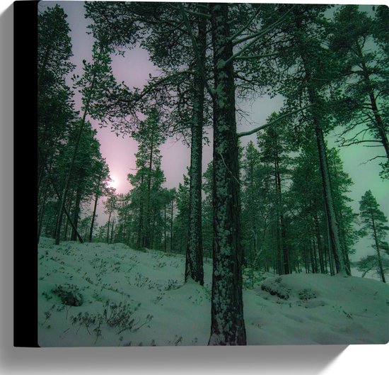 WallClassics - Toile - Les aurores boréales à travers les Arbres en Norvège - 30x30 cm Photo sur toile (Décoration murale sur toile)