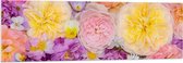 WallClassics - PVC Schuimplaat - Collage van Verschillende Kleuren en Soorten en Bloemen - 150x50 cm Foto op PVC Schuimplaat (Met Ophangsysteem)