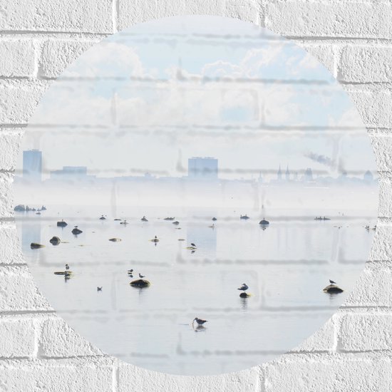 WallClassics - Muursticker Cirkel - Mist bij Skyline achter Meer met Vogels - 60x60 cm Foto op Muursticker