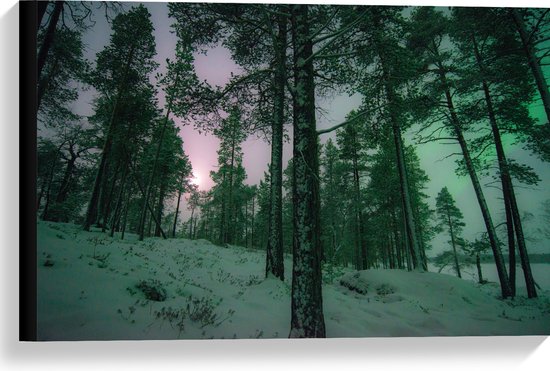 WallClassics - Canvas - Het Noorderlicht door Bomen heen in Noorwegen - 60x40 cm Foto op Canvas Schilderij (Wanddecoratie op Canvas)