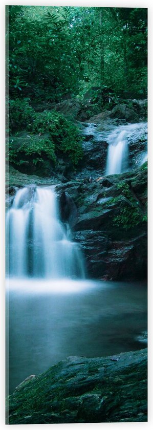 WallClassics - Acrylglas - Kleine Watervallen in Bos vol Begroeiing - 20x60 cm Foto op Acrylglas (Wanddecoratie op Acrylaat)