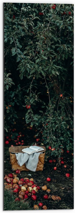 WallClassics - Dibond - Mandje voor Appels Plukken - 30x90 cm Foto op Aluminium (Wanddecoratie van metaal)