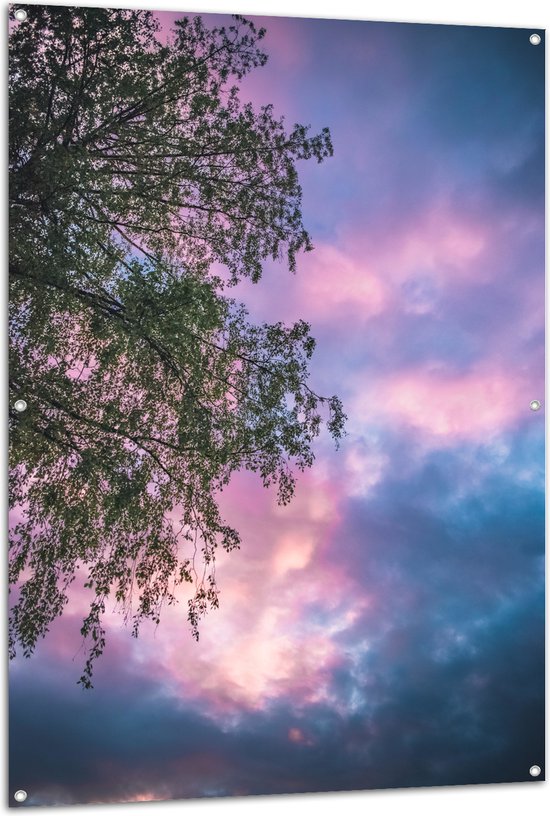 Tuinposter – Boom met Paars Blauwe Lucht - 100x150 cm Foto op Tuinposter (wanddecoratie voor buiten en binnen)