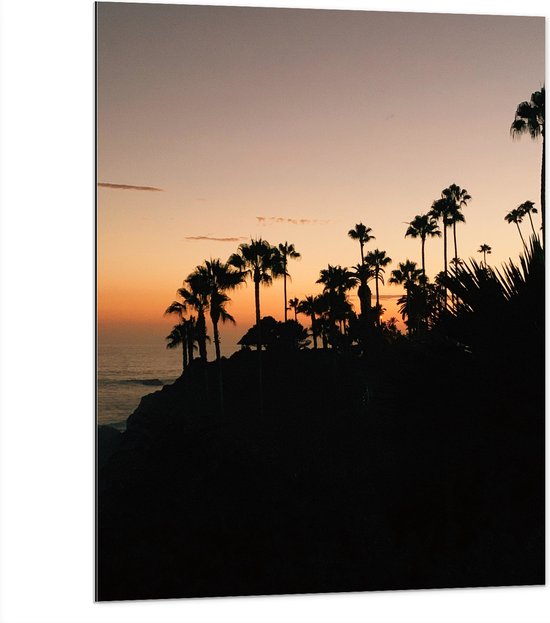 WallClassics - Dibond - Silhouet van Palmbomen op Heuvel - 75x100 cm Foto op Aluminium (Met Ophangsysteem)