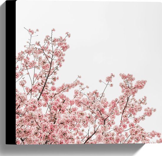 Canvas - Roze Sakura - 30x30 cm Foto op Canvas Schilderij (Wanddecoratie op Canvas)