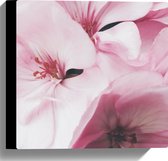 Canvas - Roze Bloemen - 30x30 cm Foto op Canvas Schilderij (Wanddecoratie op Canvas)