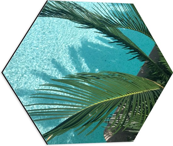 Dibond Hexagon - Groene Plant bij Zwembad - 50x43.5 cm Foto op Hexagon (Met Ophangsysteem)