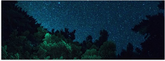 Poster (Mat) - Sterrenhemel boven het Bos - 120x40 cm Foto op Posterpapier met een Matte look