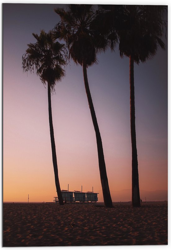 Dibond - Palmbomen op Strand met Roze Gele Lucht - 70x105 cm Foto op Aluminium (Met Ophangsysteem)